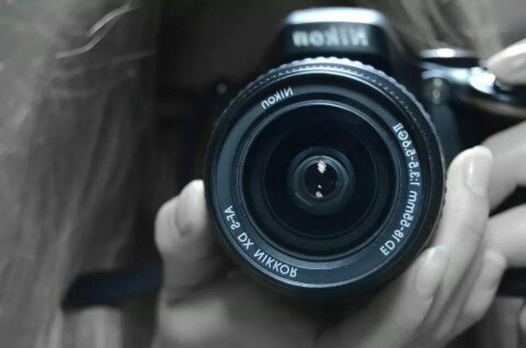 waveguide81's profile picture. 