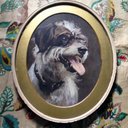 Dawn Potter - @dawnpotter22 - Twitter