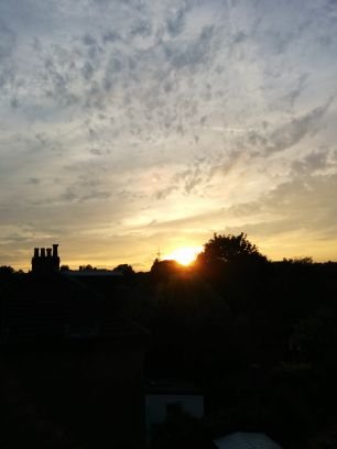 tooting_gardens's profile picture. Tooting Gardens...independent, unbiased community info. Rugby fan & amateur gardener.