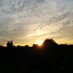 tooting-gardens (@tooting_gardens) Twitter profile photo tooting-gardens (@tooting_gardens) Twitter profile photo