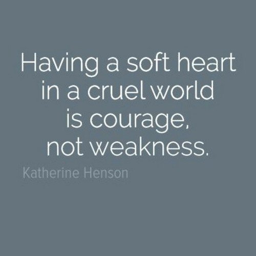Former Army wife,❤️VW, Germany, Australia, animals, my rescue cats & geckoes+making new friends.Believe in making the world a better place.More 2 say,no space