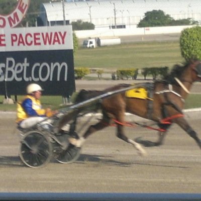 roscofletch's profile picture. 