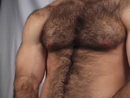 hairyman135's profile picture. 