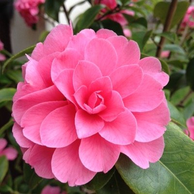 mullinf's profile picture. Galway / Dublin. Education. Sport. Gaeilge. Learning.