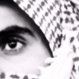 خالد الهمامي