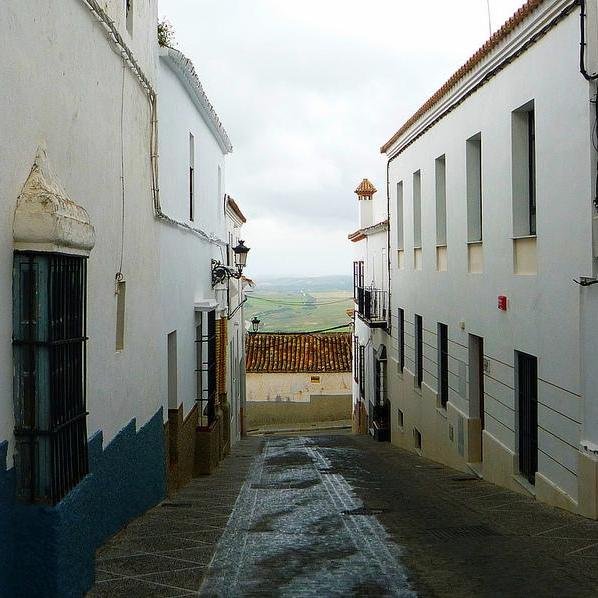 DinoSoarPix's profile picture. Audio drama and audio novels.