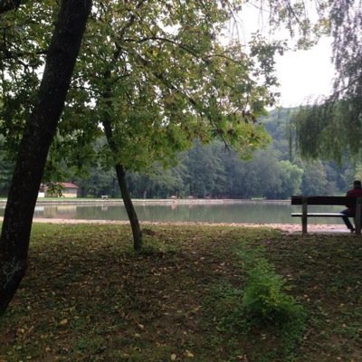 nilutrade's profile picture. 