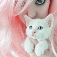 monika pathak (@monikapathak4) 's Twitter Profile