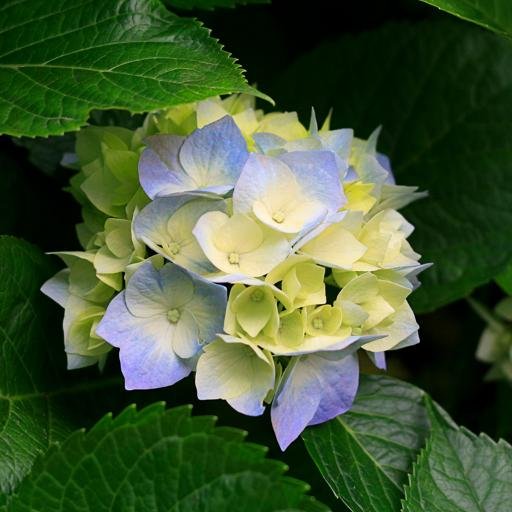 jeanneltine's profile picture. je suis un scorpion