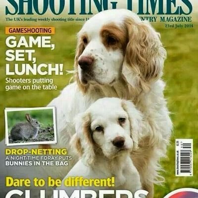 Country sports, dog training and Cocker and Clumber spaniels and Golden Retrievers. Surf kayaking and adrenaline sports.