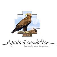 Fundación Aquila (@fundacionaquila) 's Twitter Profile