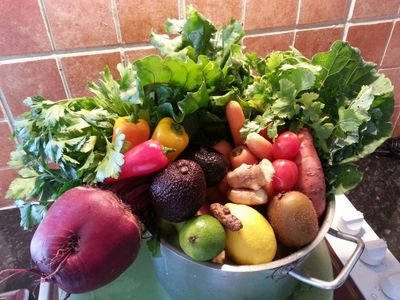 Biomass Nectar Energy Smoothies - Body Mind Soul Fuel - Diverse Synbiotic Living Enzymes - 44+ beneficial fresh pressed herbs, fruits, seeds and vegetables