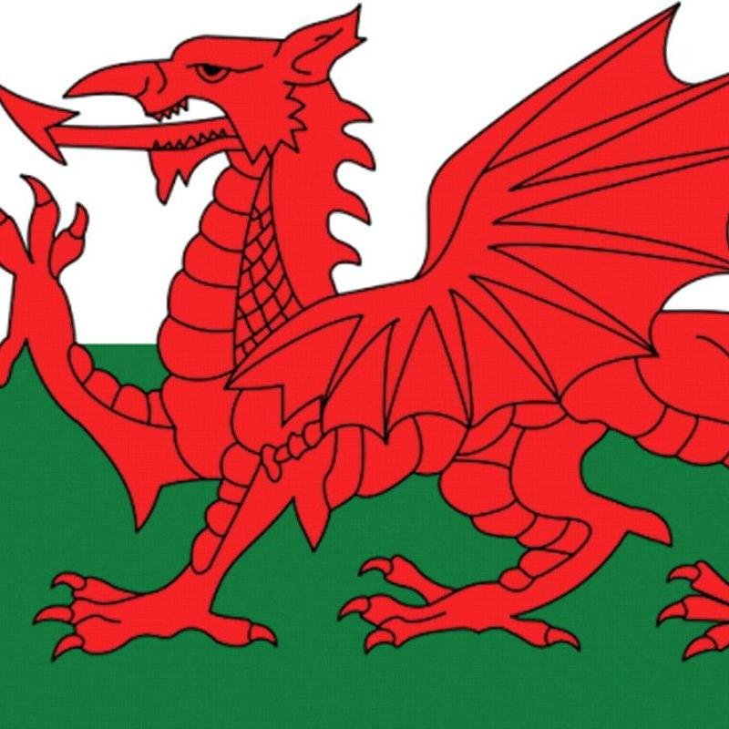 welshalliance's profile picture. Professional dance teachers in latin ballroom freestyle and street . lets support welsh dancing