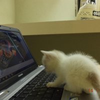 makori-ptr (@ptrmakori) 's Twitter Profile