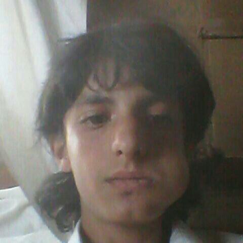 safenet80's profile picture. 