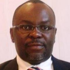 Maritime lawyer, Pan Africanist, Government Relations Advisor, Revisonist, Entrepreneur, Equestrian , hate cliches and wisecracks