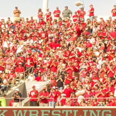 Each fall Section 10 is home to a group of crazy NC State fans. GO PACK!