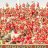 Section10NCSU's profile image