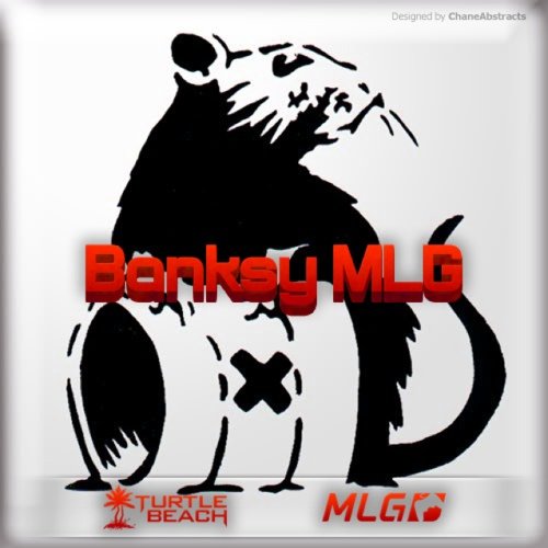 BanksyMLG's profile picture. 