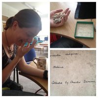 Cockburn Geological Museum (@cockburngeol) 's Twitter Profile