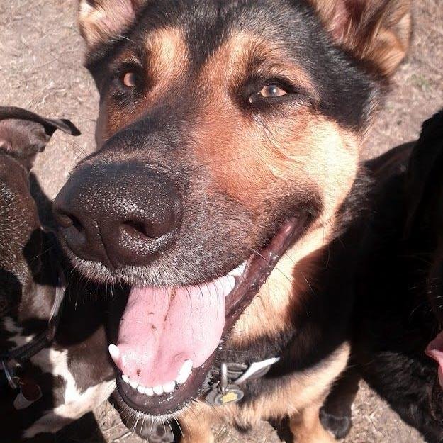 boxtestTwit's profile picture. I like stuff