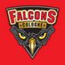 Cologne Falcons (@colognefalcons) Twitter profile photo