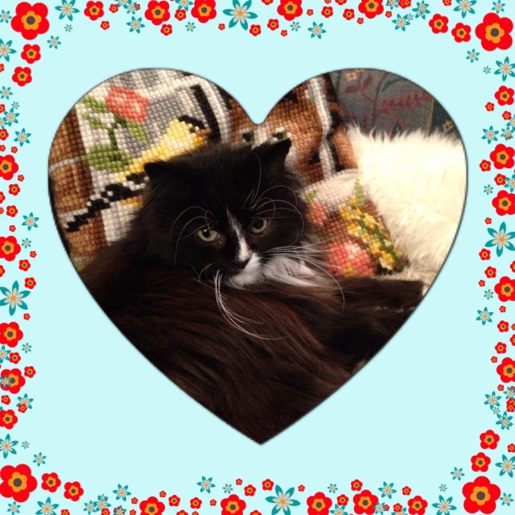 KrLeikvoll's profile picture. 