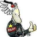 ogri42 Profile Picture