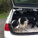 ruth fair - @rmf13_ruth - Twitter