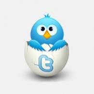 #فولومي_فولوباك #رتويت #تابعني_اتابعك