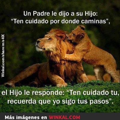 Tratando de hacer las cosas mejor cada día, sin joder al prójimo y ayudando cuando esta a mi alcance.
