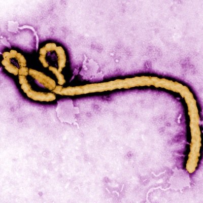 The latest legit news about Ebola!