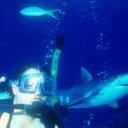 Joey Sumner - @joey_sumner - Twitter