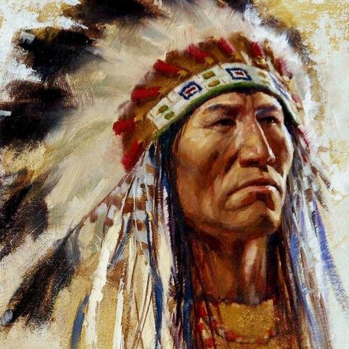 native_views's profile picture. 