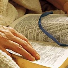 LordsWordDaily's profile picture. Daily encouragement on your walk from the Lord's Word.