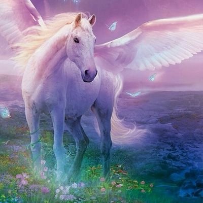 malandrinawisp2's profile picture. DON'T follow me here, this is a free follow. FOLLOW @malandrinawispa if you ask she will follow you back.