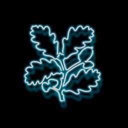 We're here to promote the protection & enjoyment of special urban places & the spirit of the city. Our first City Curator, in the city of firsts - Manchester