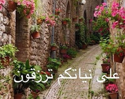 pifss_s's profile picture. 