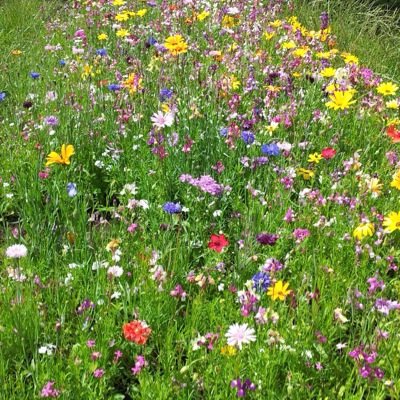 skinglis02's profile picture. 