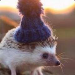 Weesheck's profile picture. just a really weird person fond of programming, metalcore/post-hardcore music and computer games