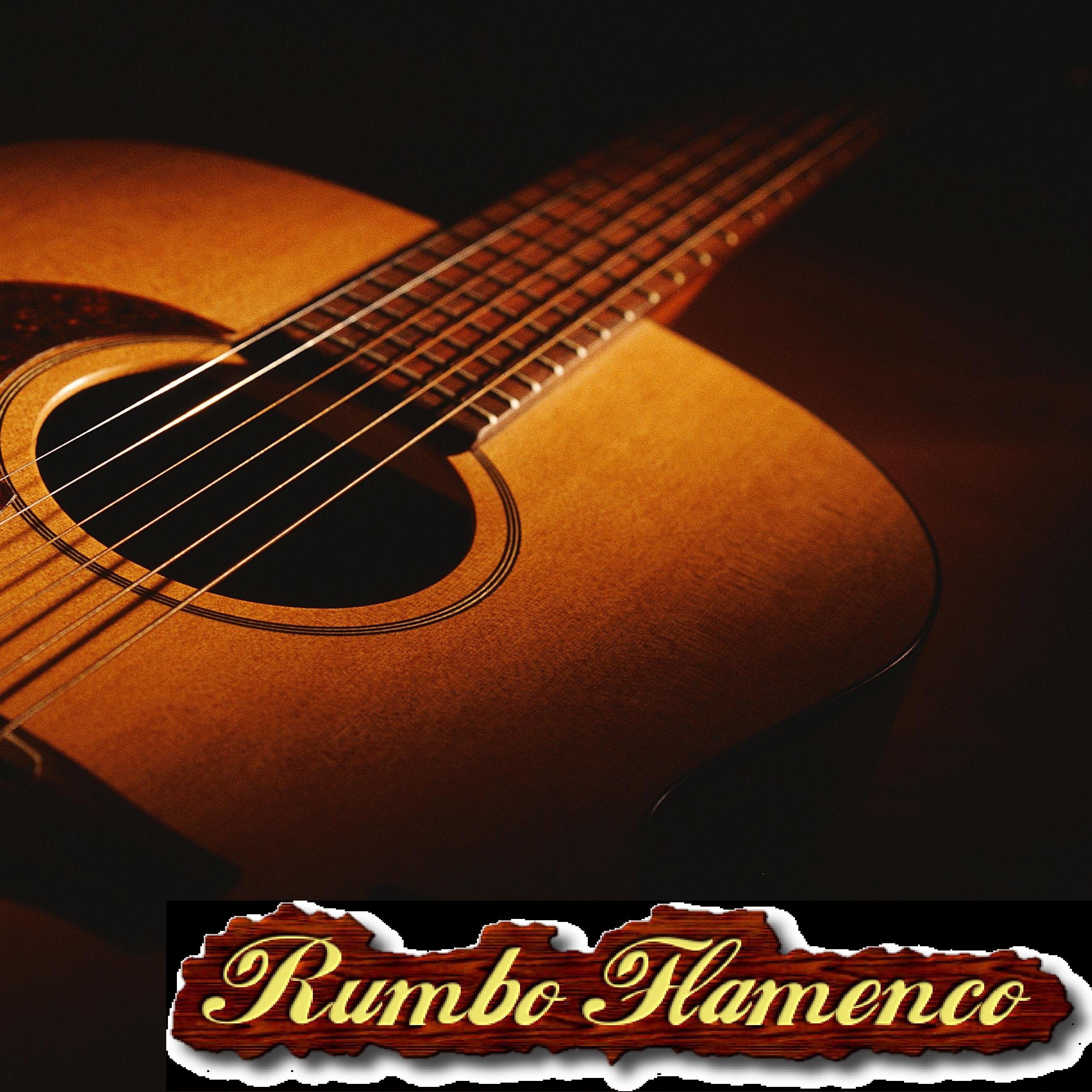 Rumbo Flamenco