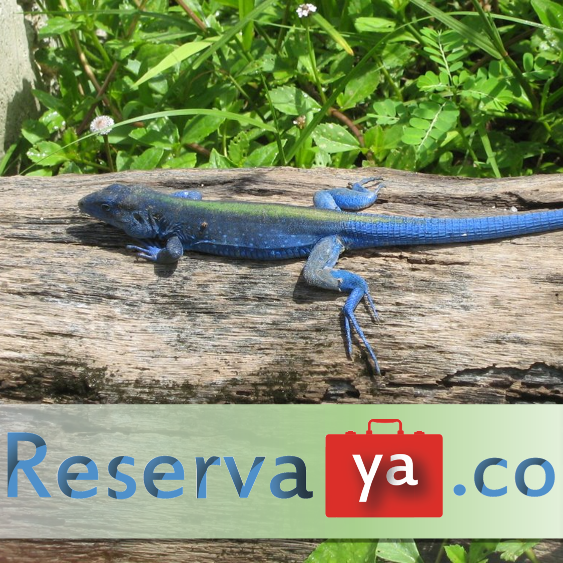 Encuentra las mejores tarifas para el viaje de tus sueños!!!