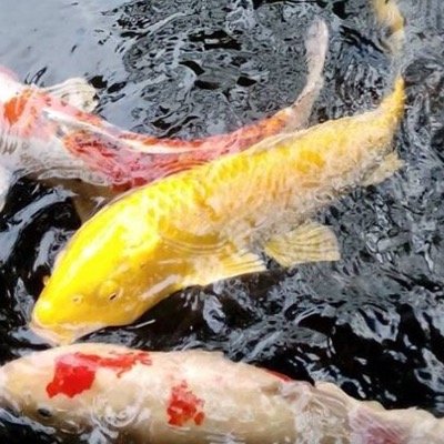 kmatas's profile picture. アパレル副資材メーカーで企画、広報、開発、マーケティングなどを担当していました。TES、UNIFA理事、サッカー及フットサル３級審判、サッカーC級コーチ、人のやらないことにチャレンジする事、おしゃれな店を探す事、歩く事が大好き。仕事を通して社会貢献する事、明るい未来を作る事、フリマ