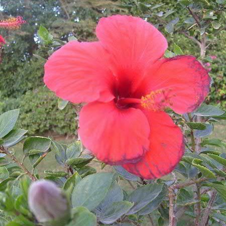 t_alenkina's profile picture. 