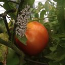 ben mcbride - @benmcbride12 - Twitter