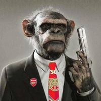 Arsenalist (@arsenalist) 's Twitter Profile