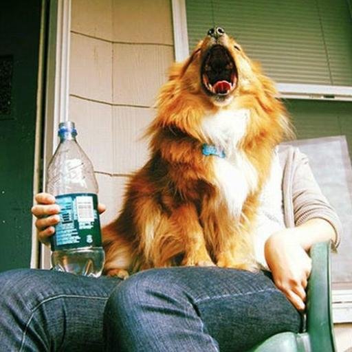 a45082's profile picture. Монетизация социалок http://t.co/M6fmKM6ejM  Взаимный фолловинг #follow #followback #ru_ff #ff_ru #rufollow #rufollowme #rufollowback