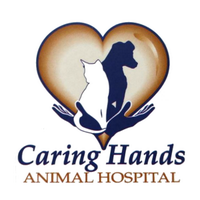 Caring Hands Vet(@CaringHandsNV) 's Twitter Profile Photo