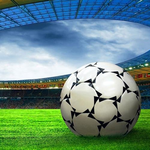 Aficionado a las apuestas deportivas