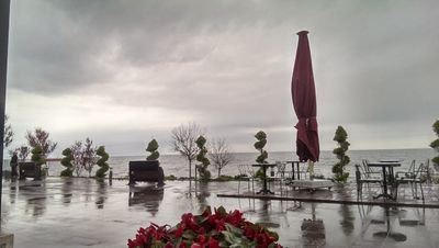 nay6020's profile picture. 